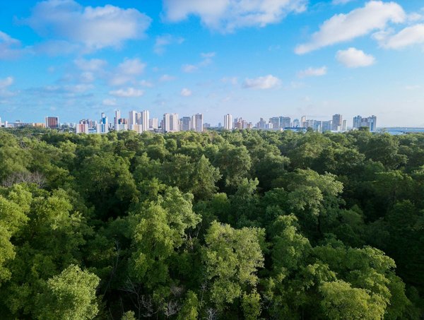 Doudou : trouvez votre peluche idéale parmi notre sélection rare