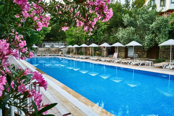 Camping transfrontalier à Argelès : une aventure inoubliable